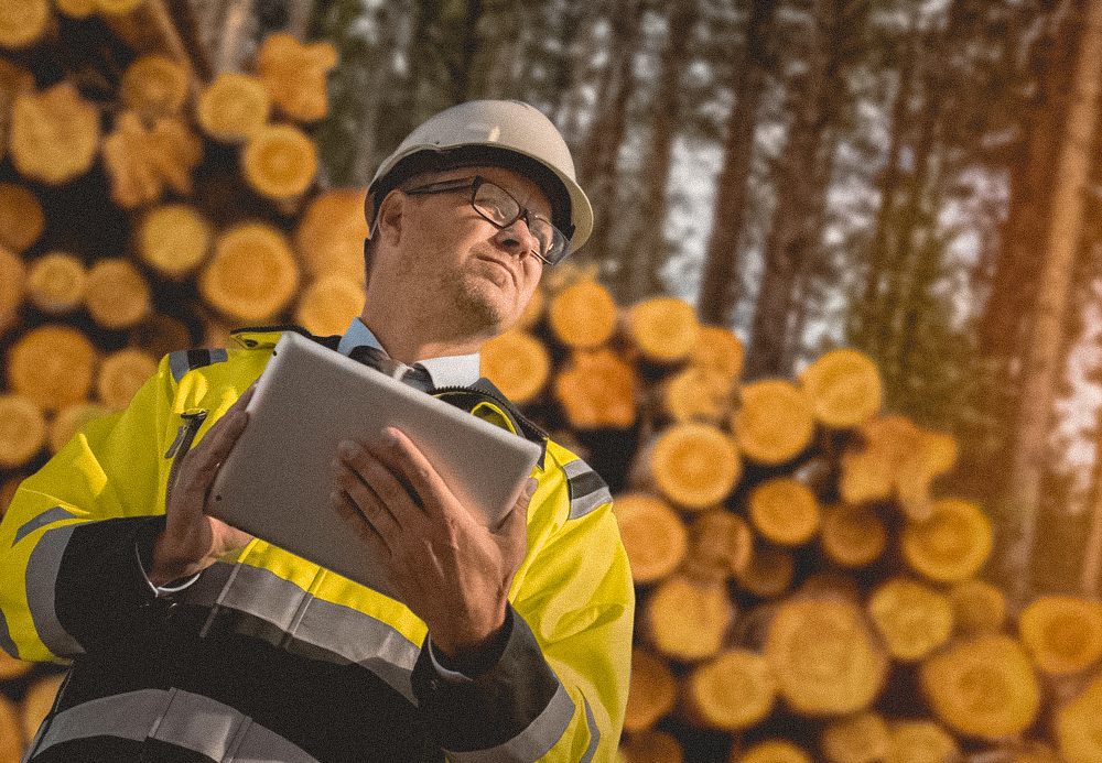 A licensed tree removal service