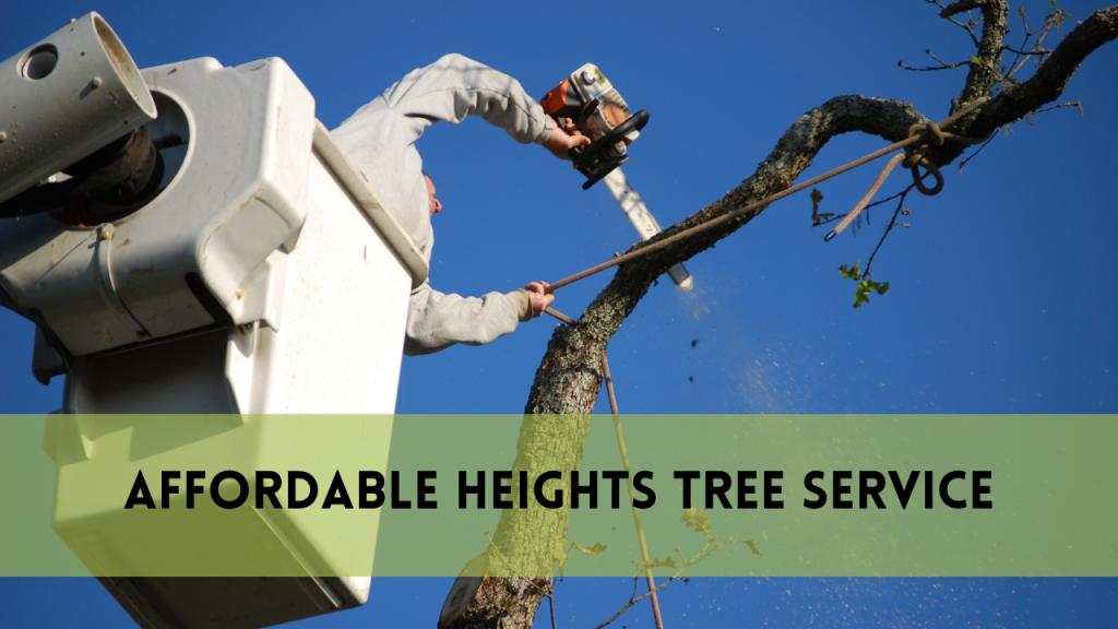 Affordable Heights Tree Service