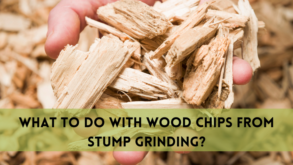 Wood Chips from Stump Grinding